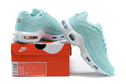 Nike TN Air Max Plus sky blue