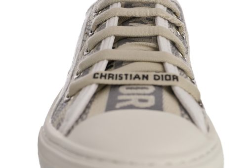 DIOR WALK Gray