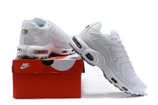 Nike TN Air Max Plus white