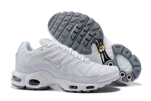 Nike TN Air Max Plus white