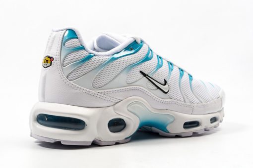 Nike TN Air Max Plus Blue White