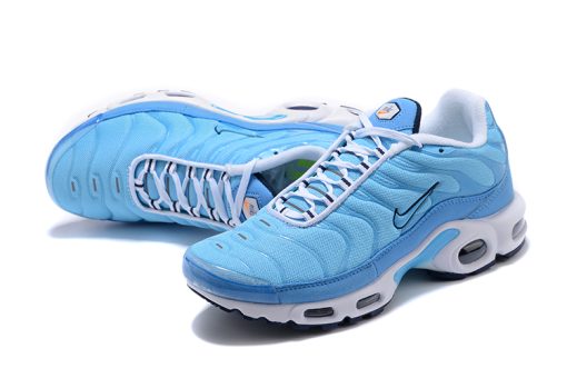 Nike Air Max Plus Blue