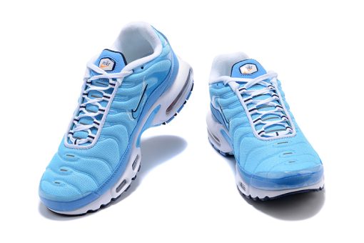 Nike Air Max Plus Blue