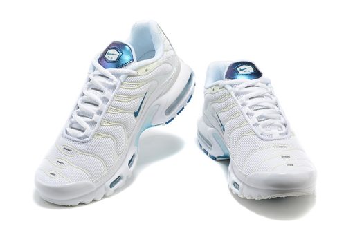 Nike Air Max Plus White Blue