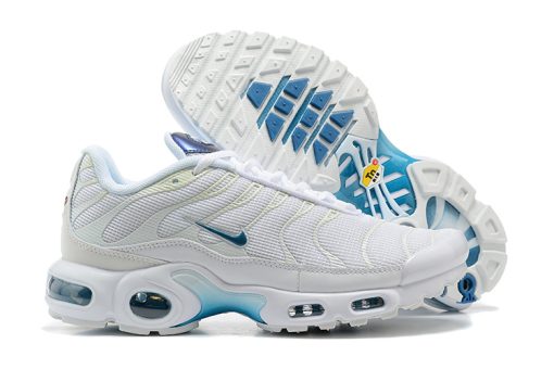 Nike Air Max Plus White Blue