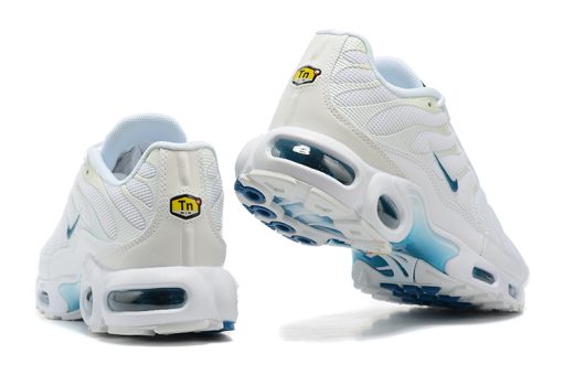 Nike Air Max Plus White Blue