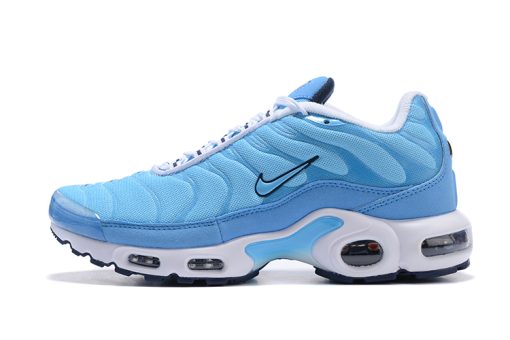 Nike Air Max Plus Blue