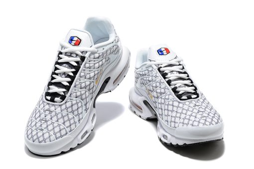 Nike Air Max Plus “France”