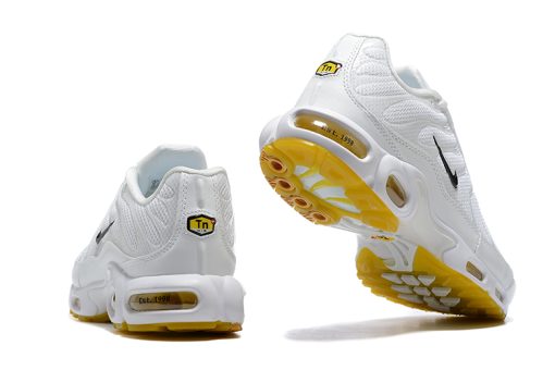 Nike Air Max Plus “M. Frank Rudy”