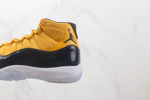 Nike Air Jordan 11 Retro Jubilee 25th Anniversary