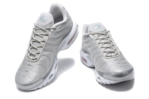 Nike Air Max Plus Silvery - Image 3