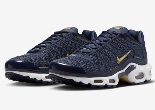 Nike Air Max Plus “French Football Federation”