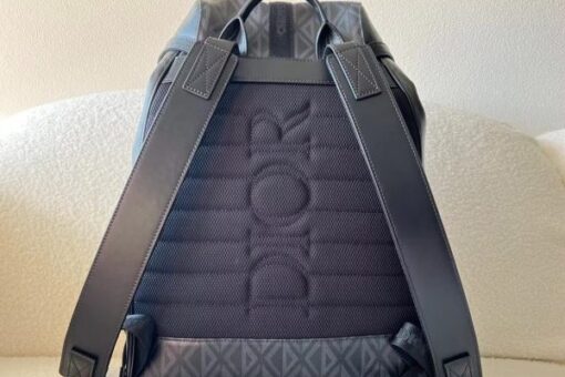 Dior Backpack