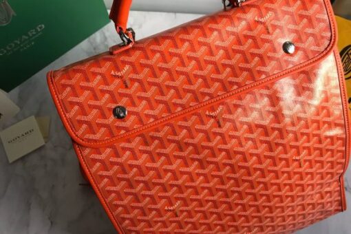 Goyard Backpack