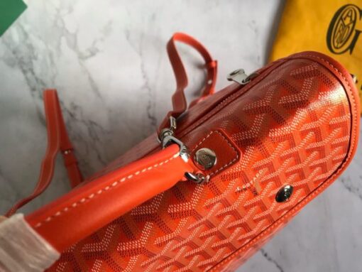 Goyard Backpack