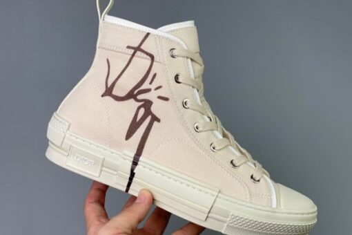 Dior B23 High Top Sneakers