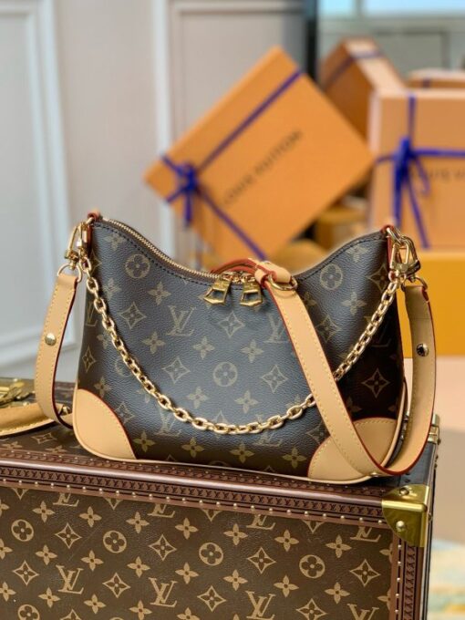 LV Bag