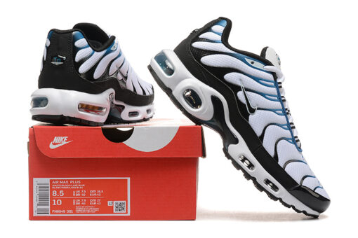 Nike Air Max Plus