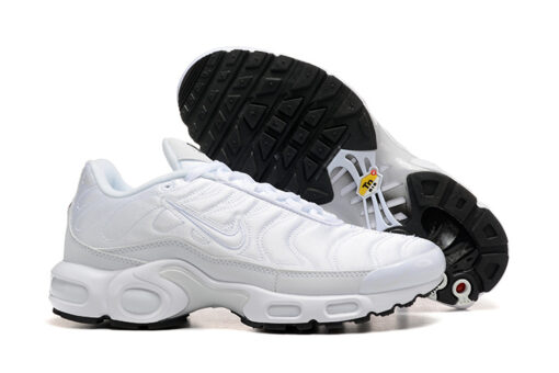 Nike Air Max Plus