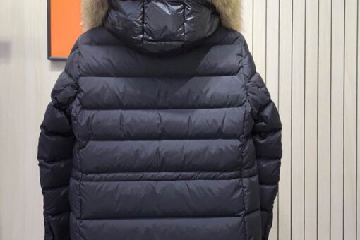 Moncler New Puffer Down Jacket Brown