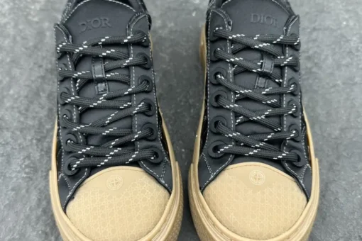 Dior B33 x Stone Island Sneaker