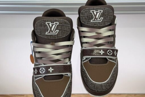 LV Trainer Sneaker Brown