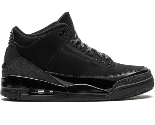 Air Jordan 3 "Black Cat 2025"